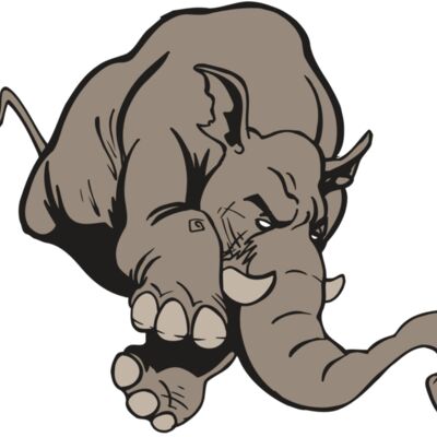 AR5 Elephant 17 RQC Thumbnail