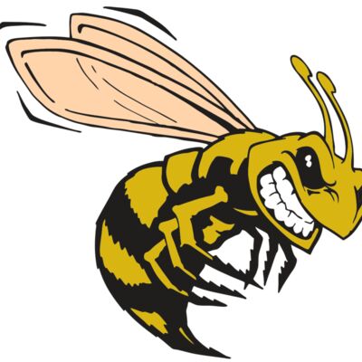 AR BEE 50 RC Thumbnail