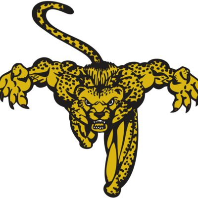 BAW CHEETAH 08 RC Thumbnail